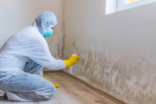 Commercial Mold Remediation assessment for commercial property in Thompson's Station
