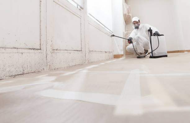 Black mold remediation team in Thompson's Station